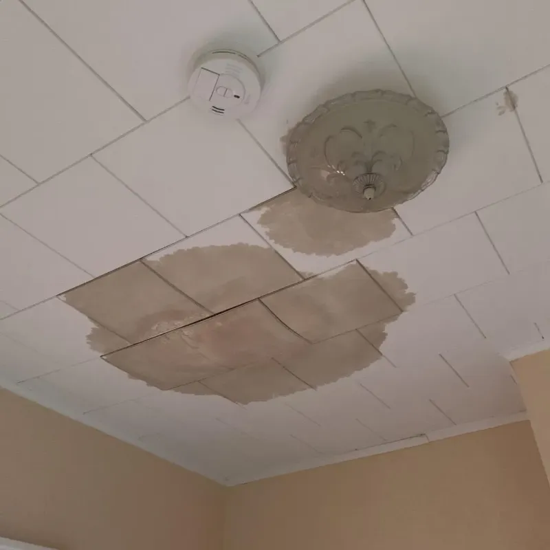 Ceiling Water Damage Repair in North Hills, NY