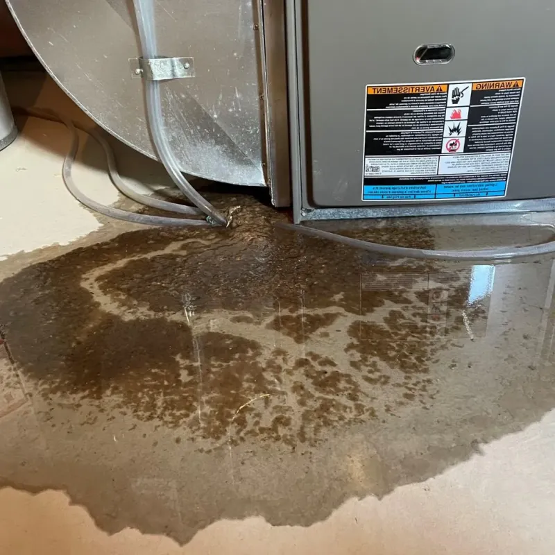 Pipe Burst and Leak Restoration in North Hills, NY